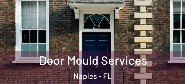  Door Mould Services Naples - FL