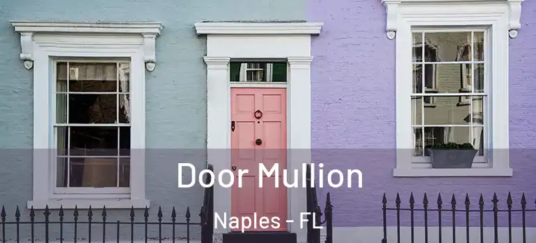  Door Mullion Naples - FL