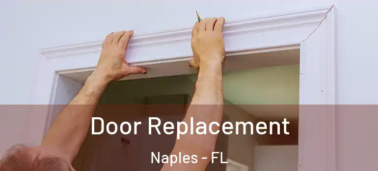  Door Replacement Naples - FL