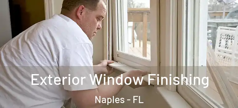  Exterior Window Finishing Naples - FL