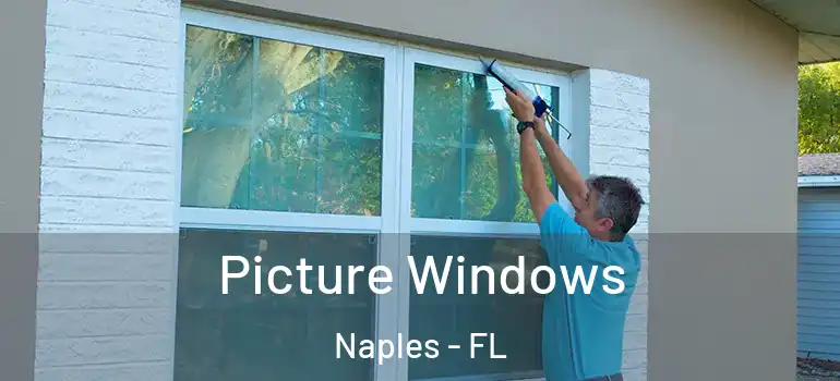  Picture Windows Naples - FL