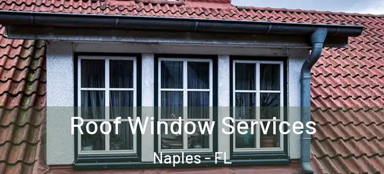  Roof Window Services Naples - FL