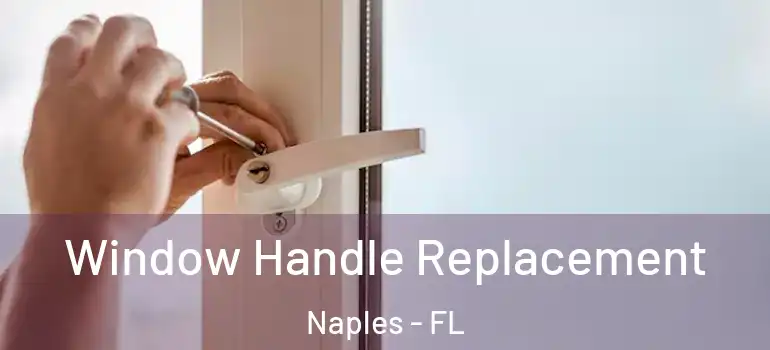  Window Handle Replacement Naples - FL