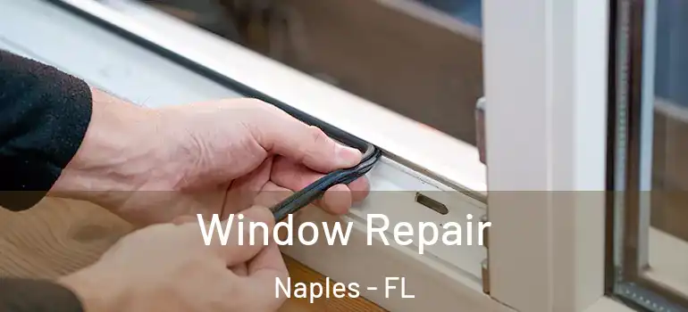  Window Repair Naples - FL